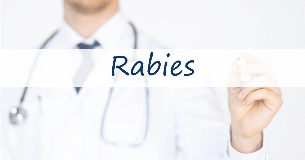 Rabies – Wall Street Travel Vaccination
