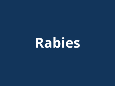 Rabies Vaccination